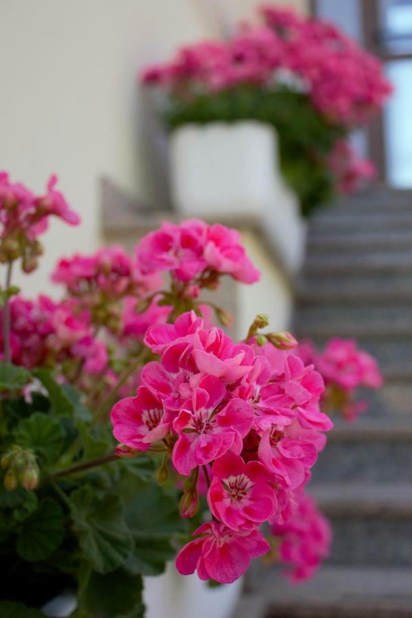 Room Kris With Private Entrance & Private Bathroom Vilanija Εξωτερικό φωτογραφία